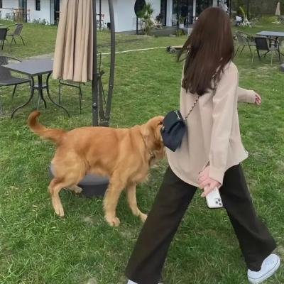 惊情悚爱