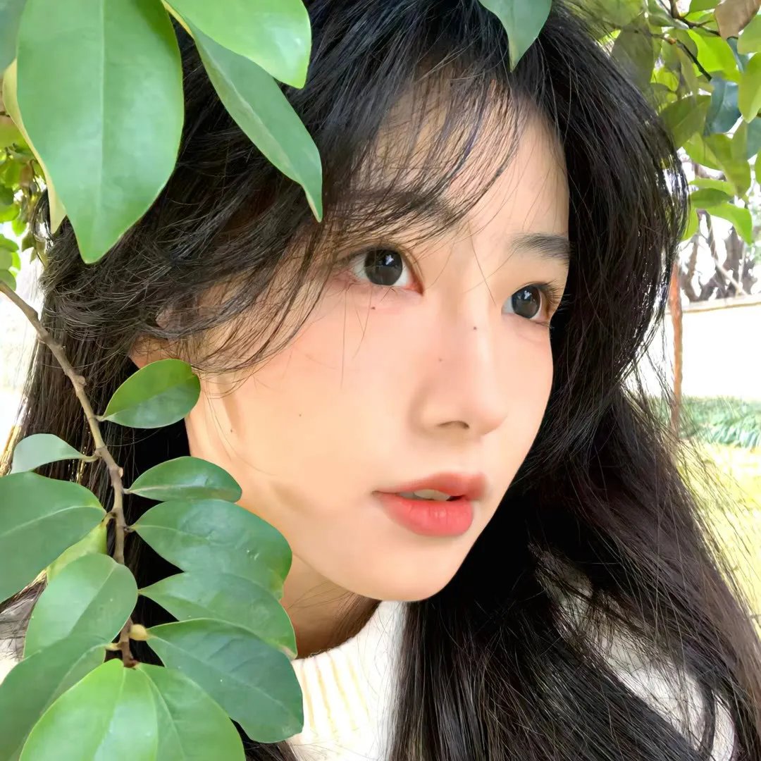 无颜之月